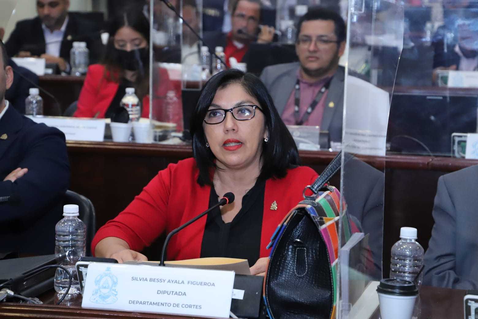 “Ningún congresista podrá argumentar que desconoce el contenido del proyecto de Ley de Justicia Tributaria"